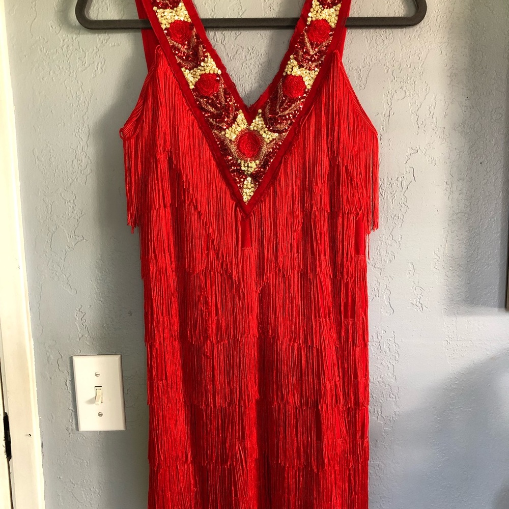 Dreamgirl “On the Fringe” Flapper Costume